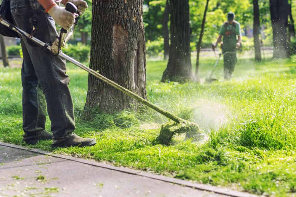 Lawn Care image