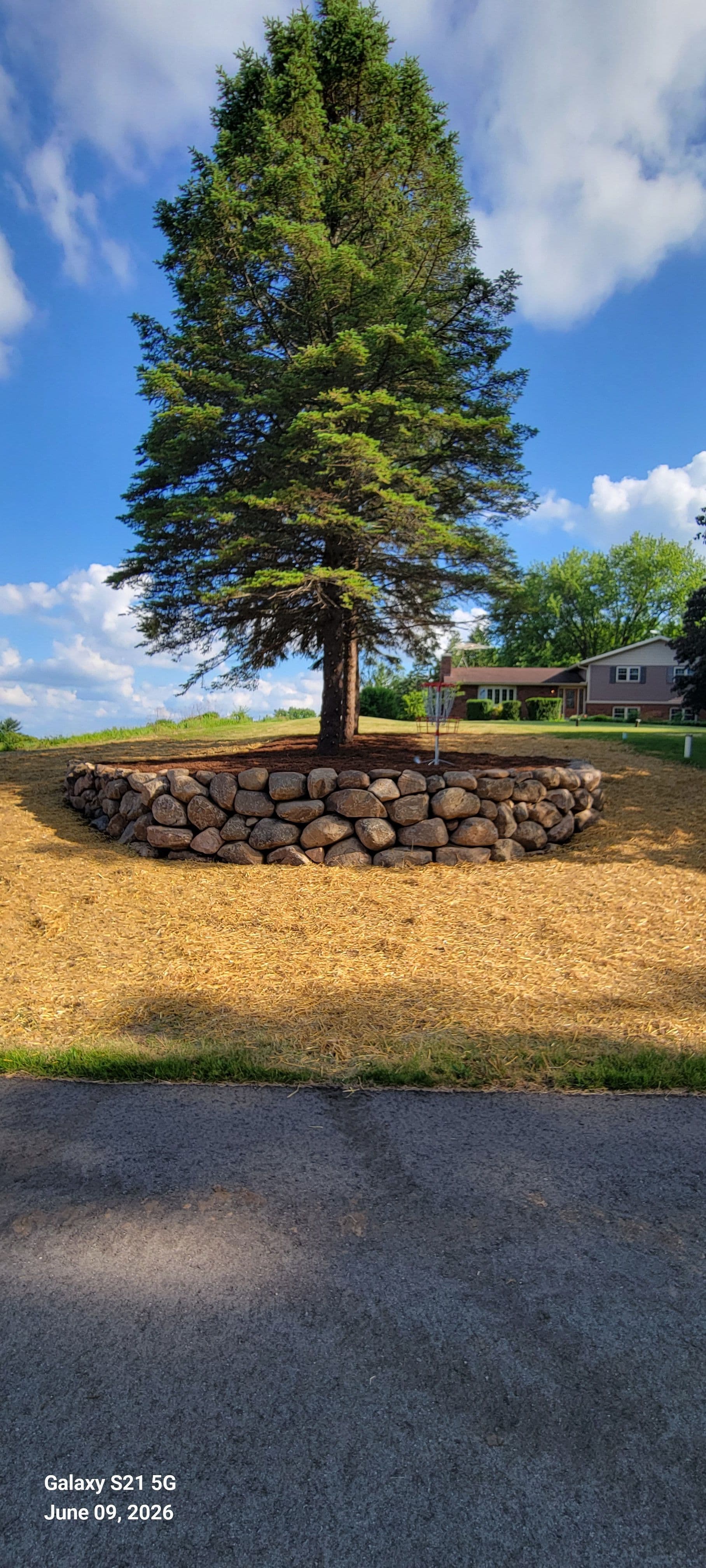 Stone Retaining Wall Built Around a Standout Tree