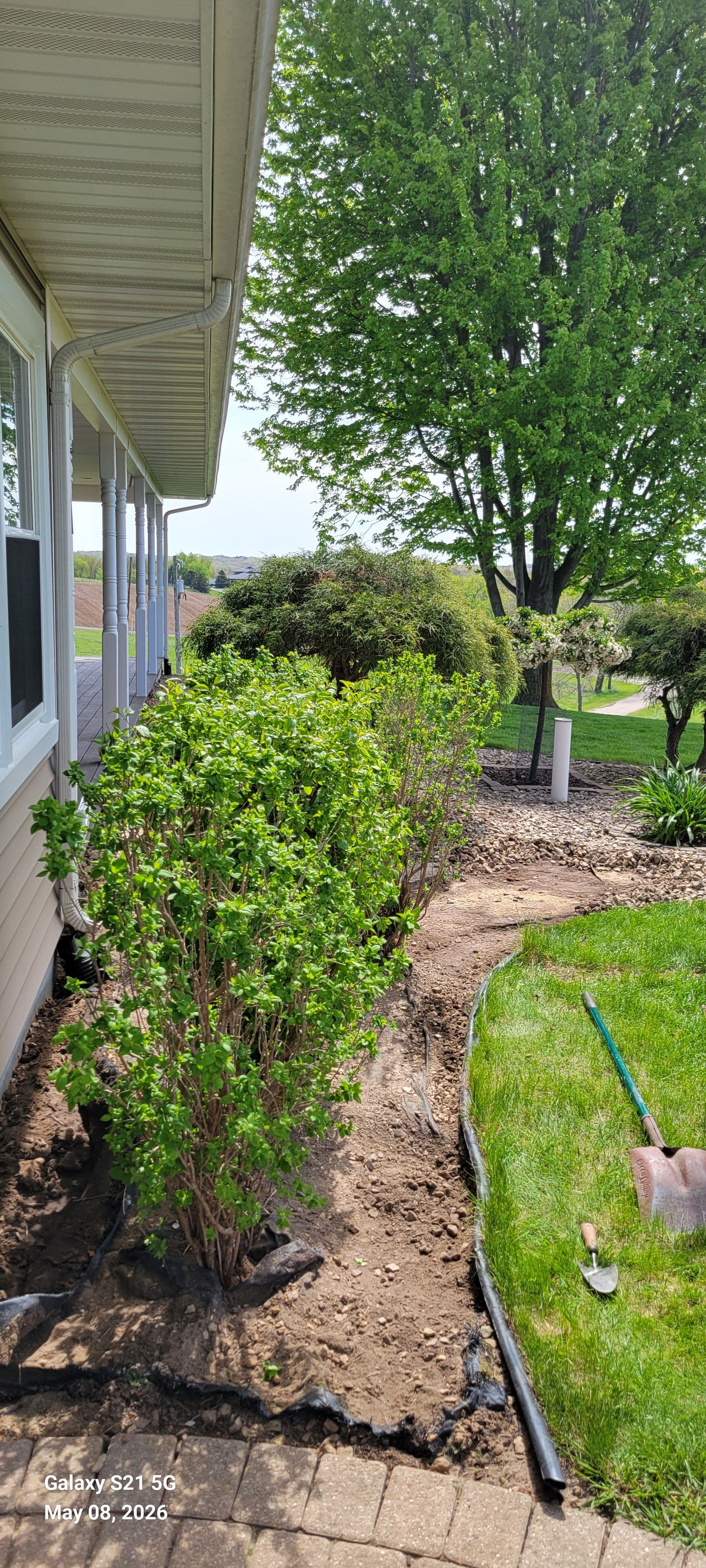 Garden Bed Edging and Cleanup That Makes Your Whole Yard Look Sharp
