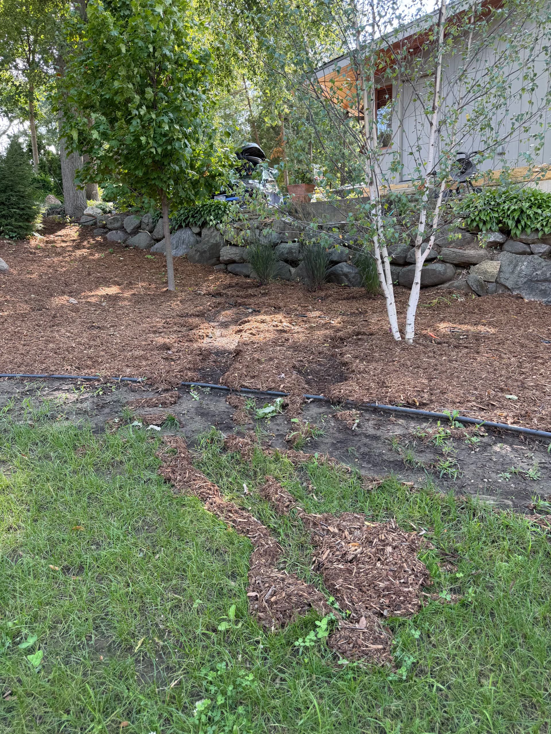 Dry Creek Bed, Regrading, and Fresh Lawn Fix a Runoff Problem image