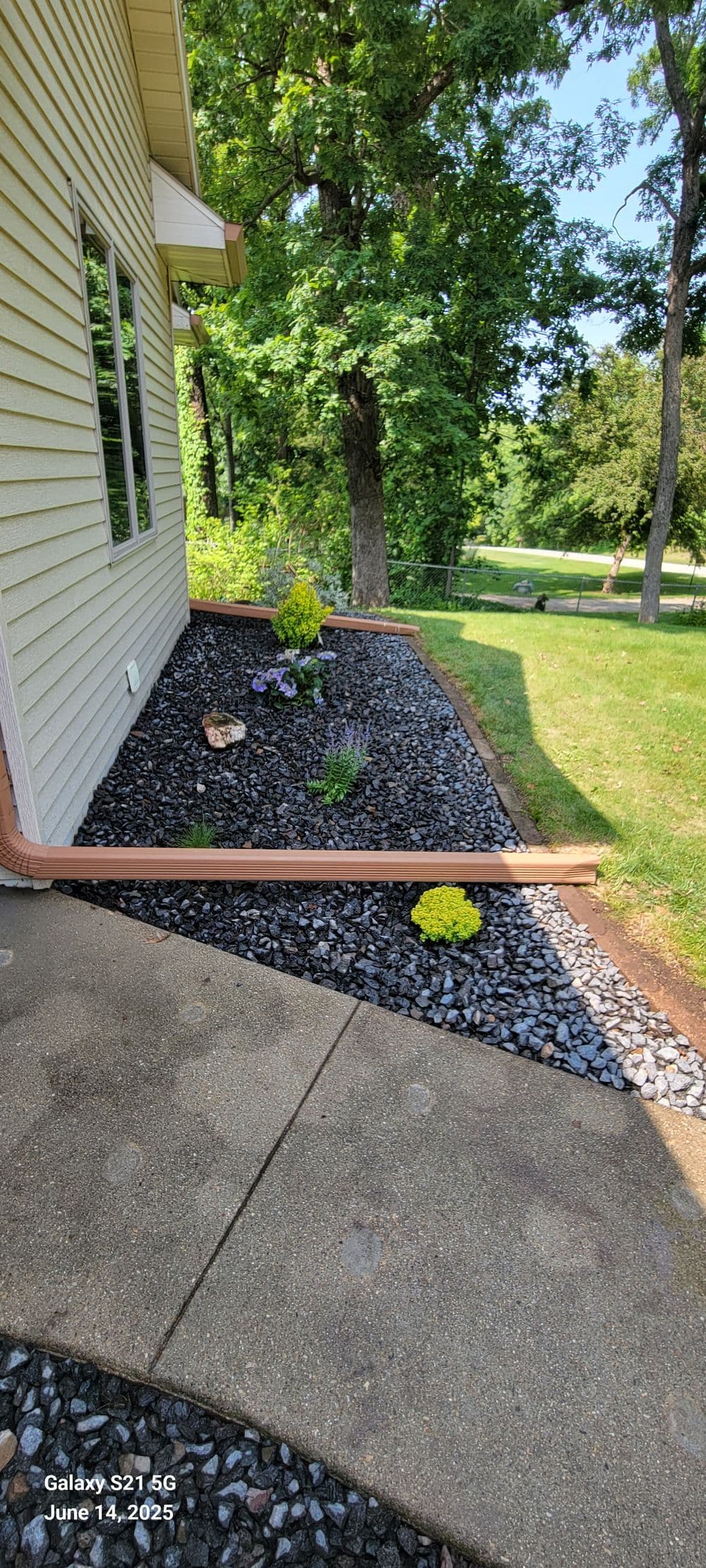 Landscaped garden with gravel, plants, and a home's exterior on a sunny day.