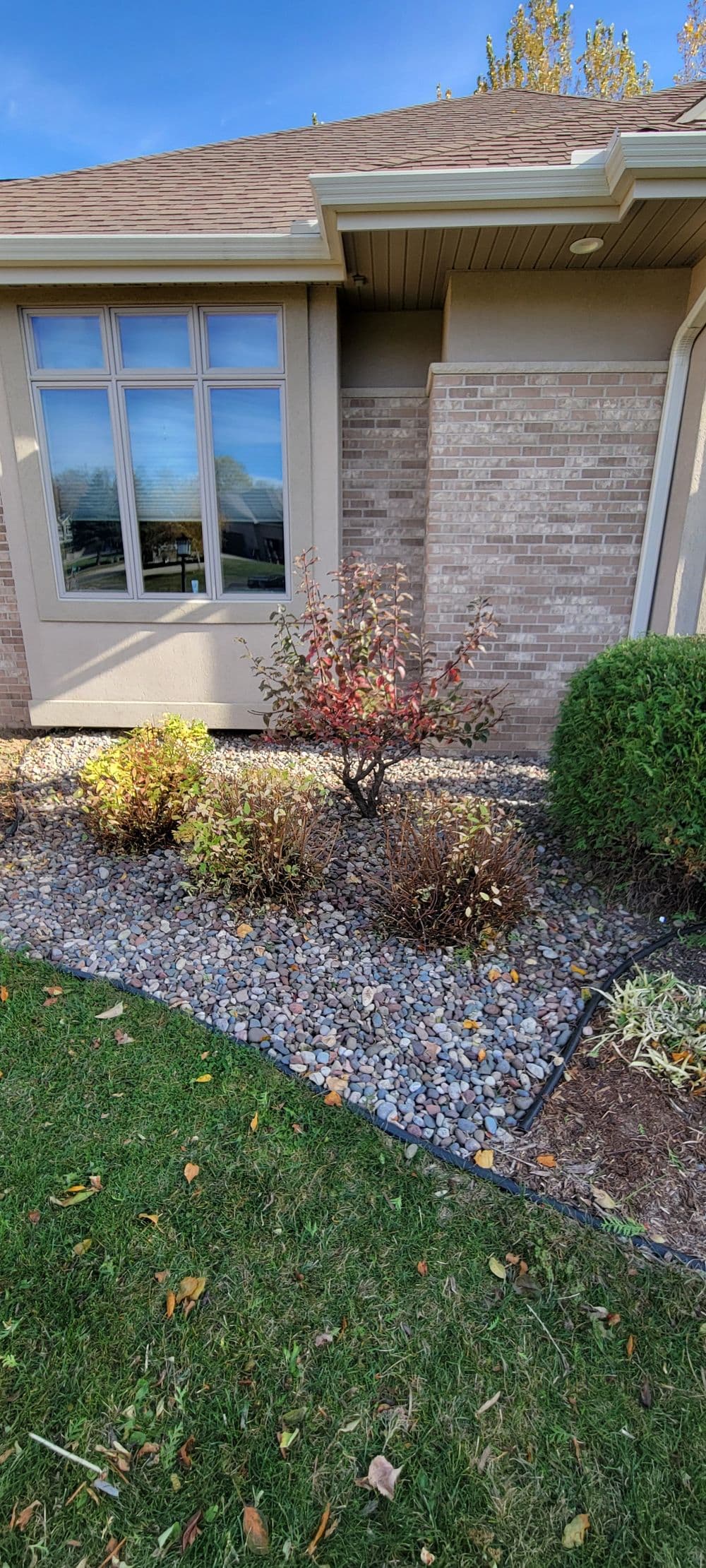 Lightly colored stone garden bed featuring a small bush with red leaves near a home.