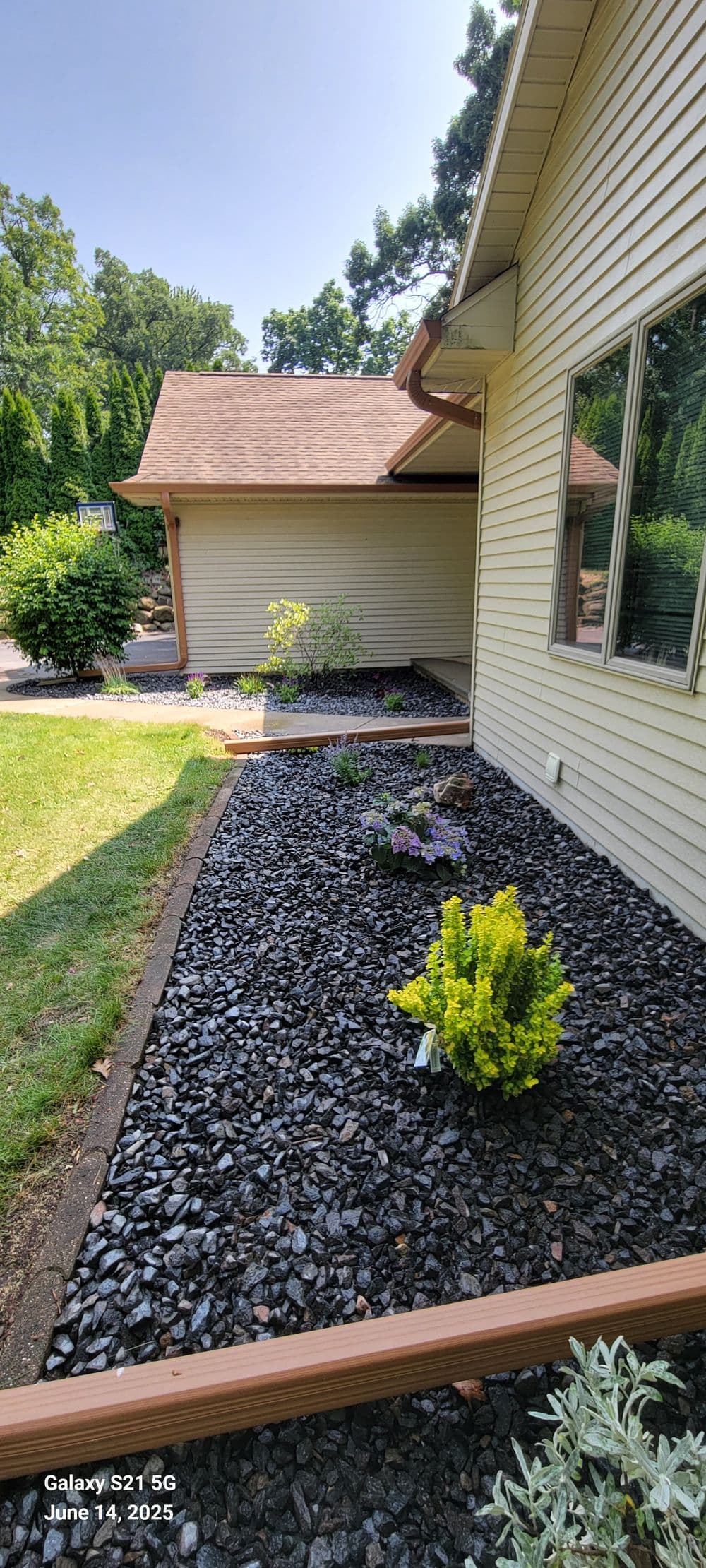 Well-maintained garden with black gravel, green shrubs, and blooming flowers beside a house.