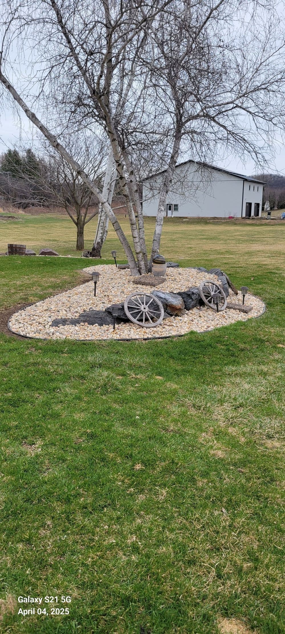 Decorative garden landscape with a tree, stones, and wagon wheels in a serene backyard setting.